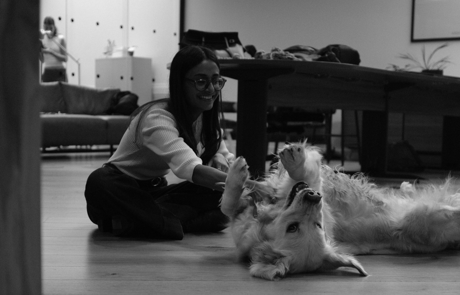 Sienna, a golden retriever, rolling on her back on the office floor while a member of the team plays with her